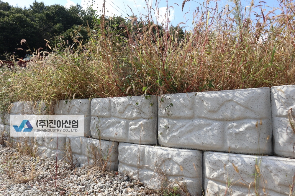 피씨IMG_8589.JPG