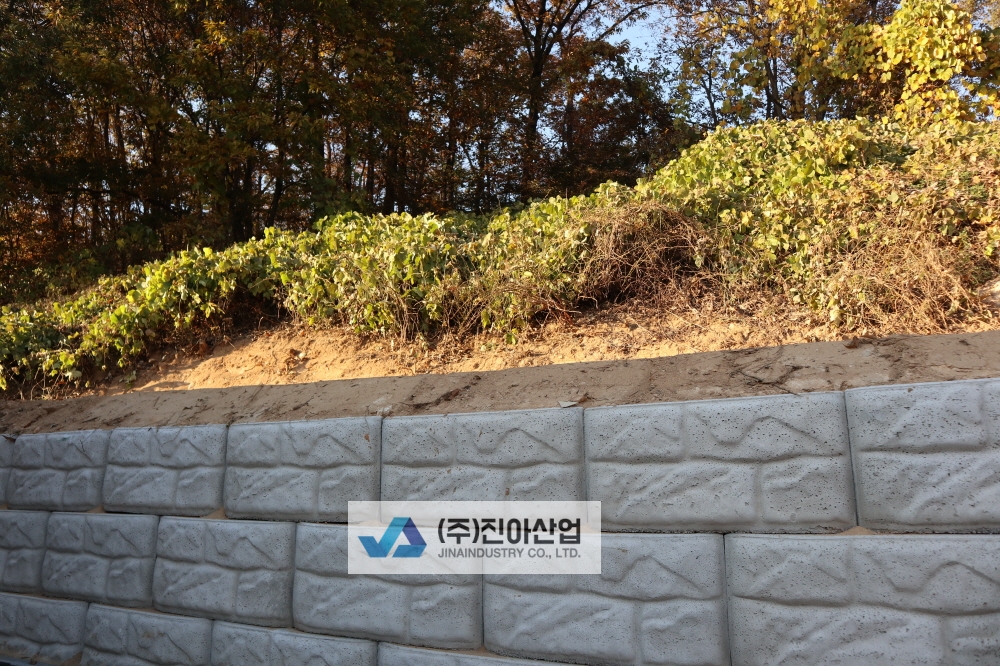 피씨IMG_8680.JPG