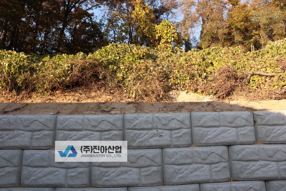 피씨IMG_8681.JPG